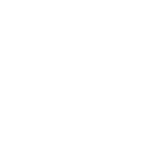 Karlsruhe Institute of Technology